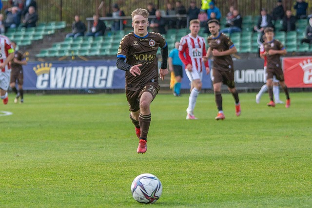 能够带来积 能够带来积